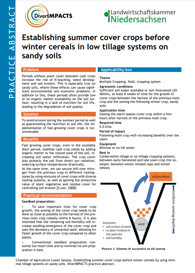 establishing-summer-cover-crops-before-winter-cereals-in-low-tillage